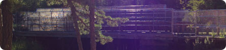 Evan Wilder's Pictures of the Pine Barrens - Evan's Bridge
