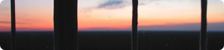 Evan Wilder's Pictures of the Pine Barrens - A Quiet Sunset At Apple Pie Hill