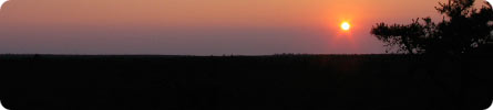 Evan Wilder's Pictures of the Pine Barrens - Summer Solstice Sunset and Moonrise Over Manahawkin